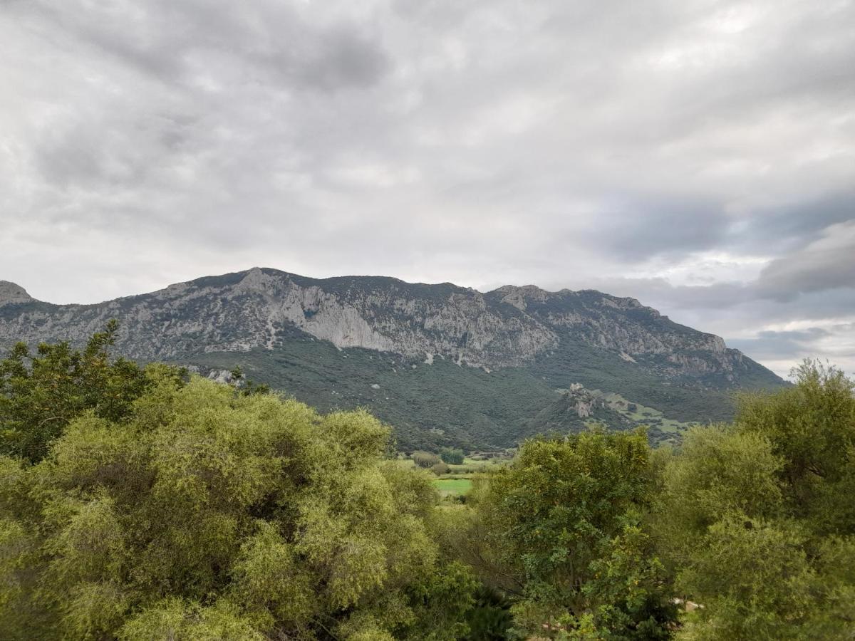 Agriturismo Palas De Serra Country Resort Onifai Kültér fotó