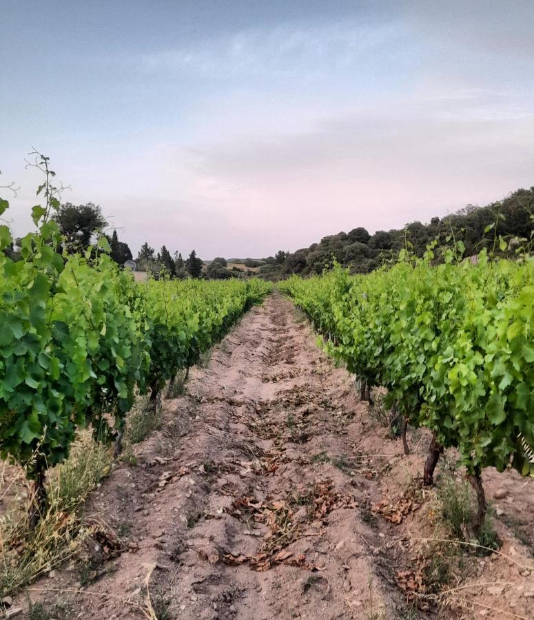 Agriturismo Palas De Serra Country Resort Onifai Kültér fotó