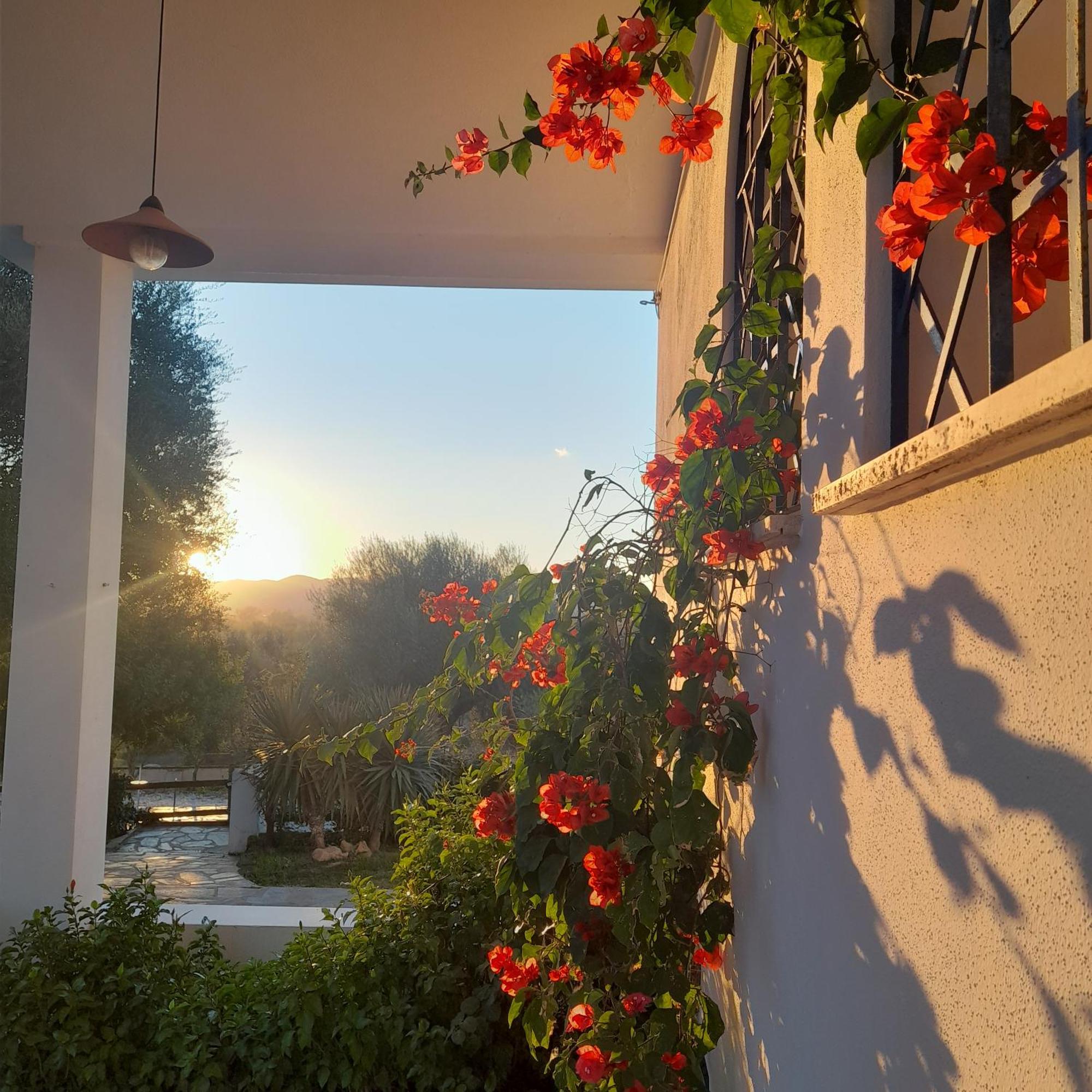 Agriturismo Palas De Serra Country Resort Onifai Kültér fotó