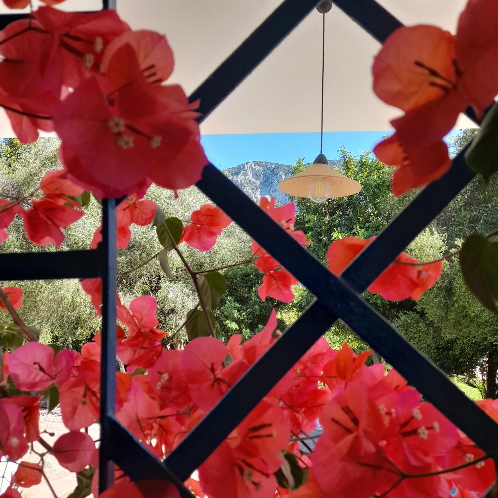 Agriturismo Palas De Serra Country Resort Onifai Kültér fotó